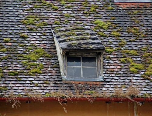 Signs You Should Repair Or Replace Your Roof Before Selling