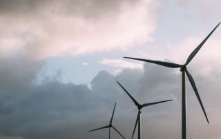 wind mitigation service tampa fl