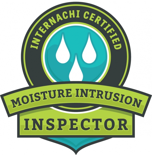 internachi certified moisture intrusion inspector home inspector structural engineer construction tampa florida