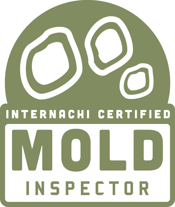internachi certified mold inspector home inspector structural engineer construction tampa florida